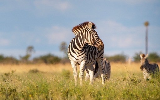 Chyulu Hills National Park